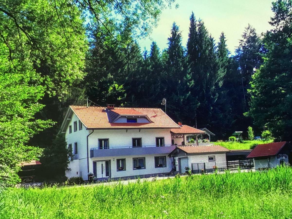Апартаменты Haus Manuela Фельден-ам-Вёртер-Зе Экстерьер фото